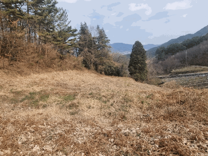 일련번호 3