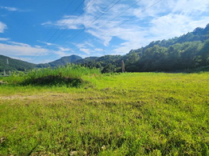 목록2. 부동산 전경