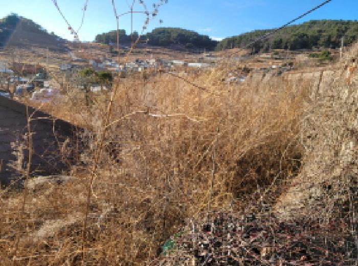 본건2~3항 전경사진.