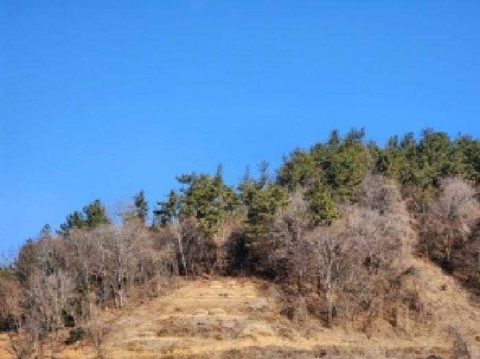 본건 1 전경
