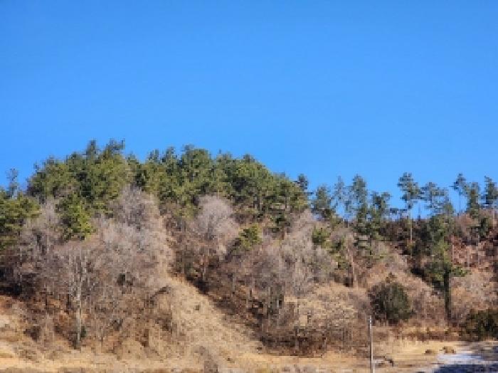 본건 1 전경