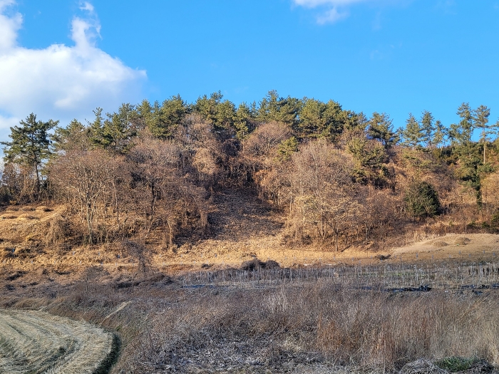 기호 1 전경