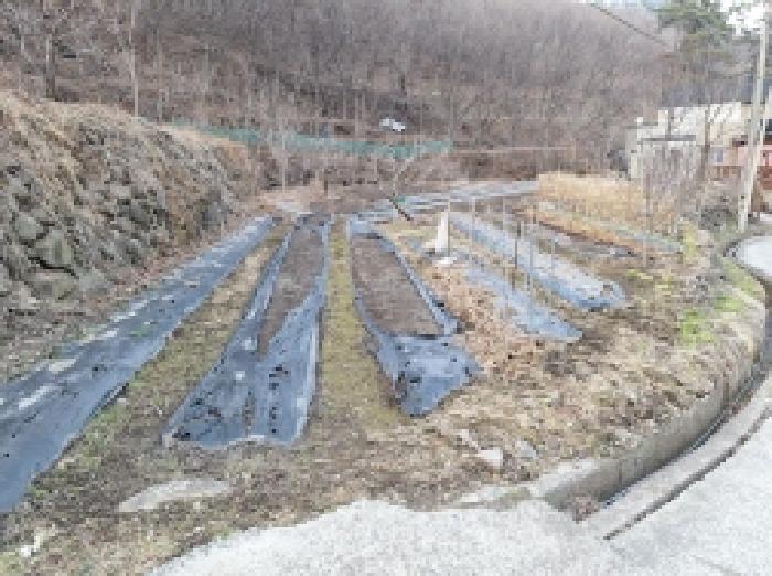 본건2, 현재 전으로 이용중임