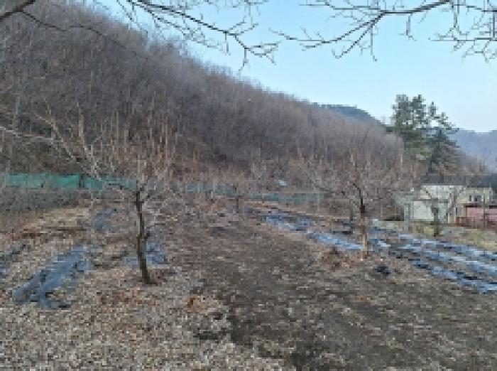 본건2, 현재 전으로 이용중임