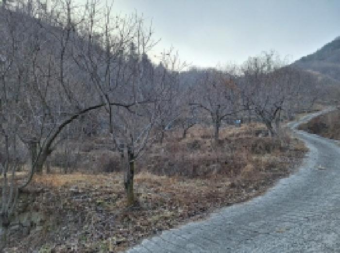 본건1 묵답상태임