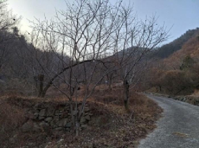본건1 묵답상태임