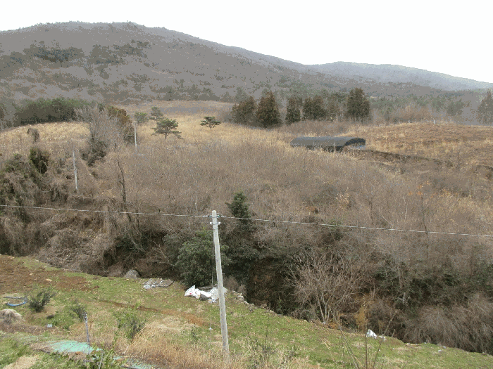 2025타경51126[4]