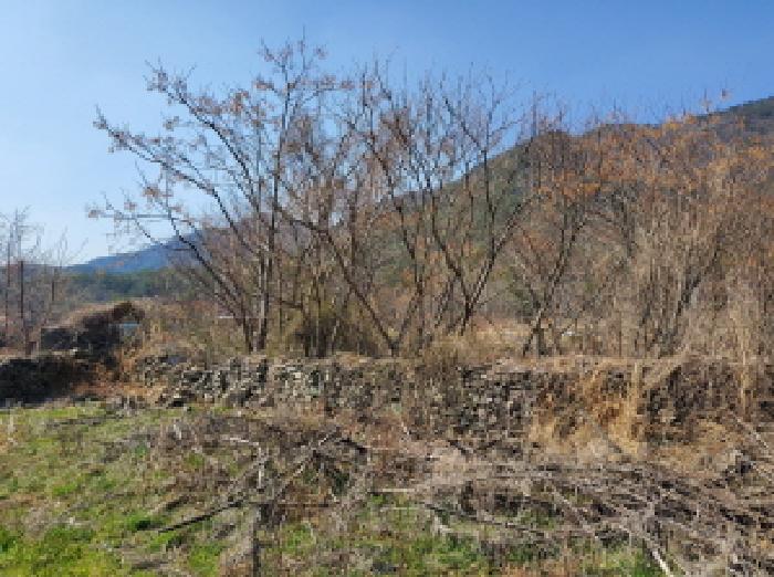 본건