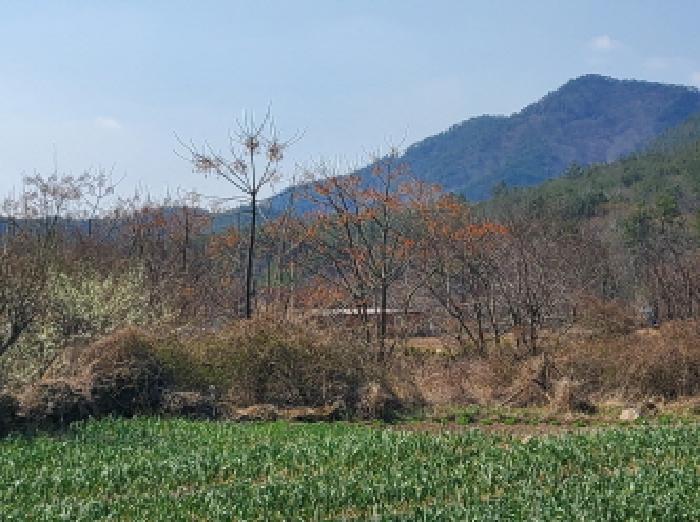 본건