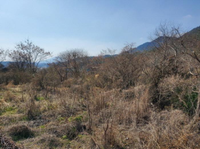 본건