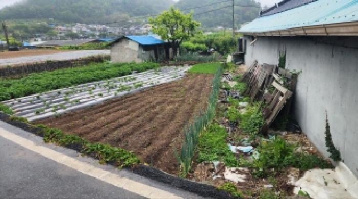 본건1.