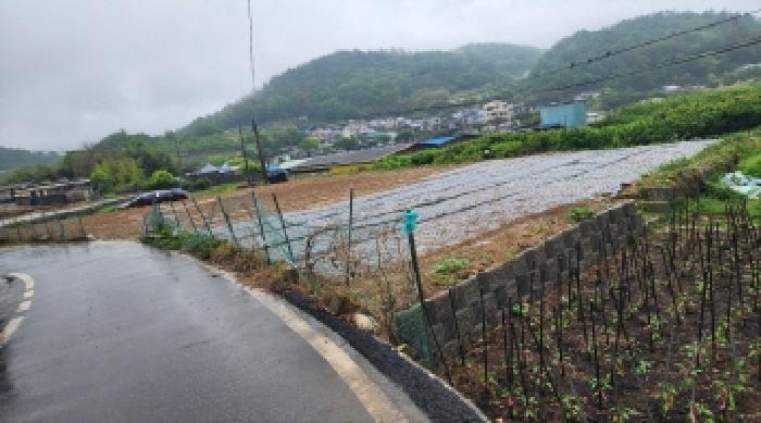 본건1.