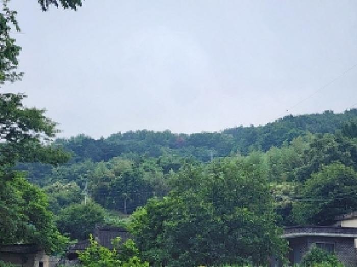 본건 1 전경