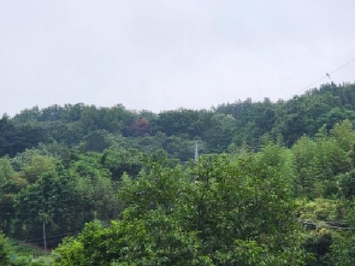 본건 1 전경