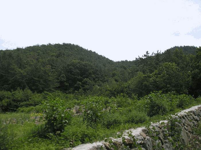 본건 기호(2)