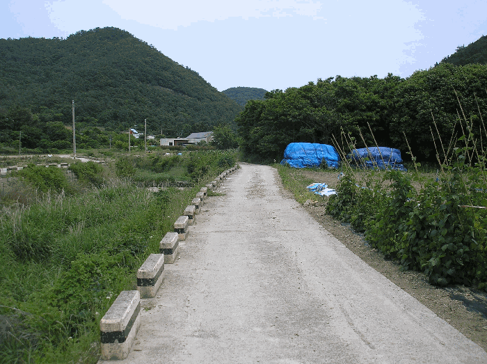본건 기호(1) 북서측 도로 현황