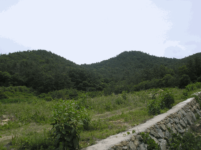 본건 기호(2) 인근 전경