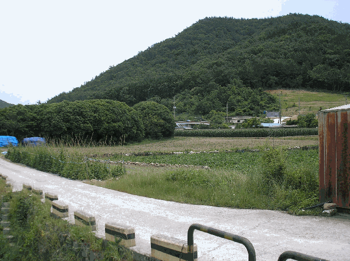 본건 기호(1) 북서측 인근 촬영
