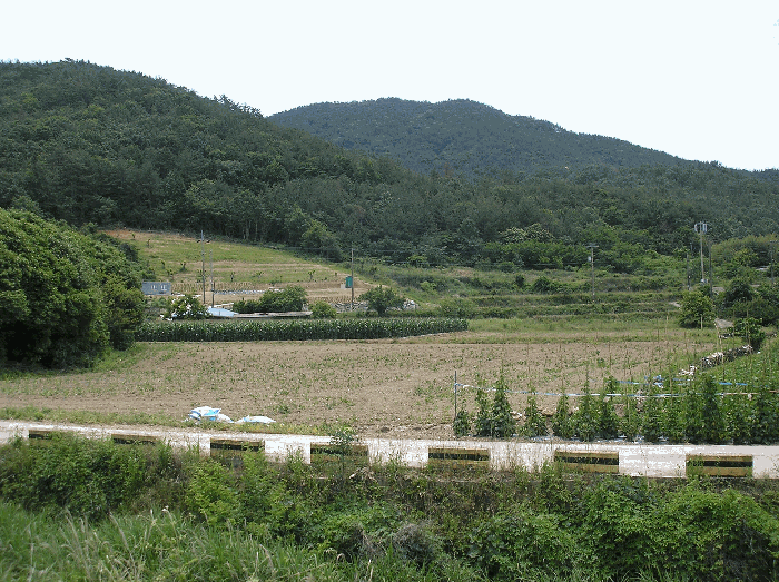 본건 기호(1)