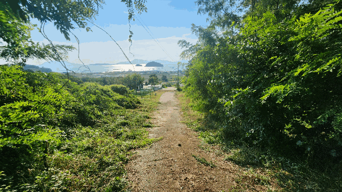 본건 기호(4)