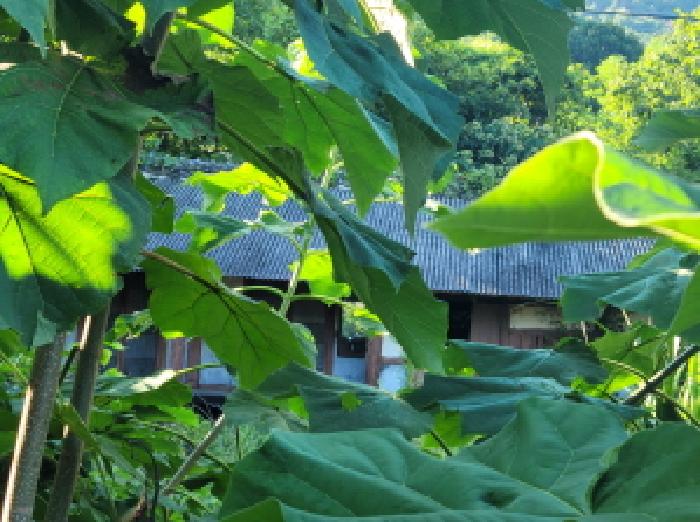 본건 1항 목조 슬레이트 지붕 구조의 제시외 건물 전경사진임.