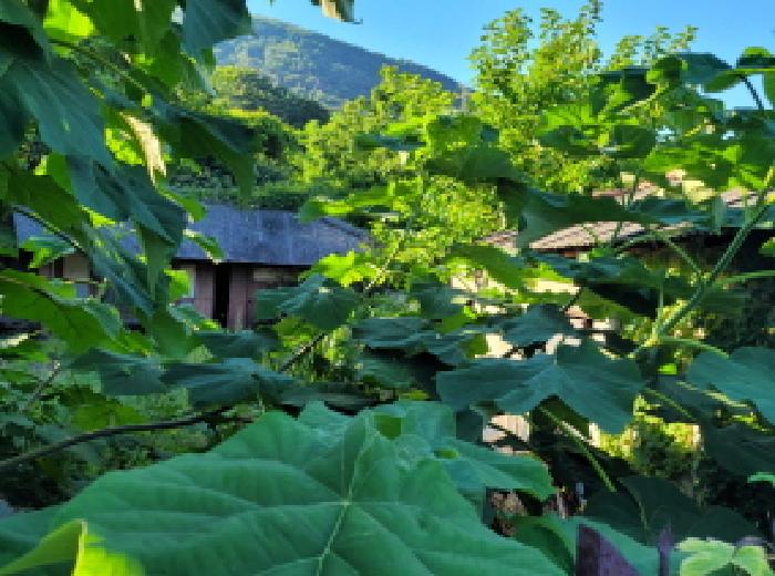 본건 1항 목조 슬레이트 지붕 구조의 제시외 건물 전경사진임.