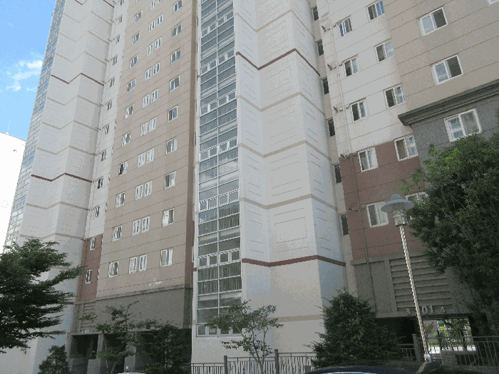 본건전경(후면)