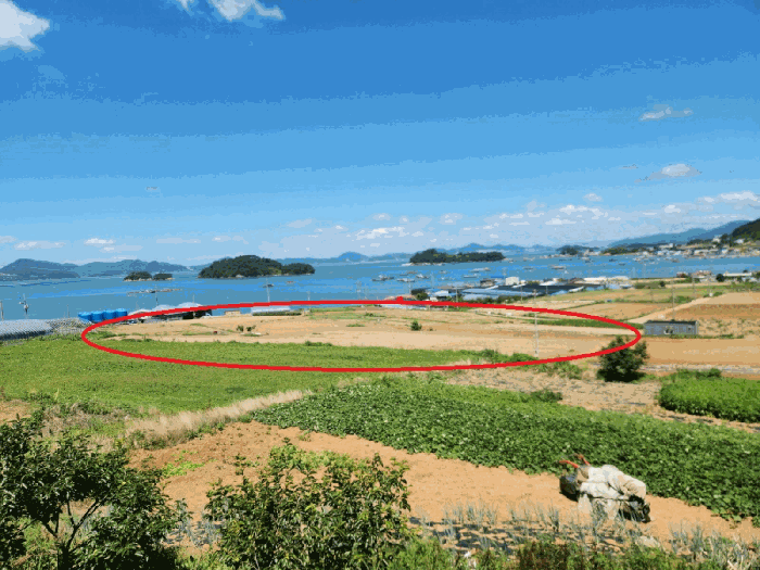본건전경