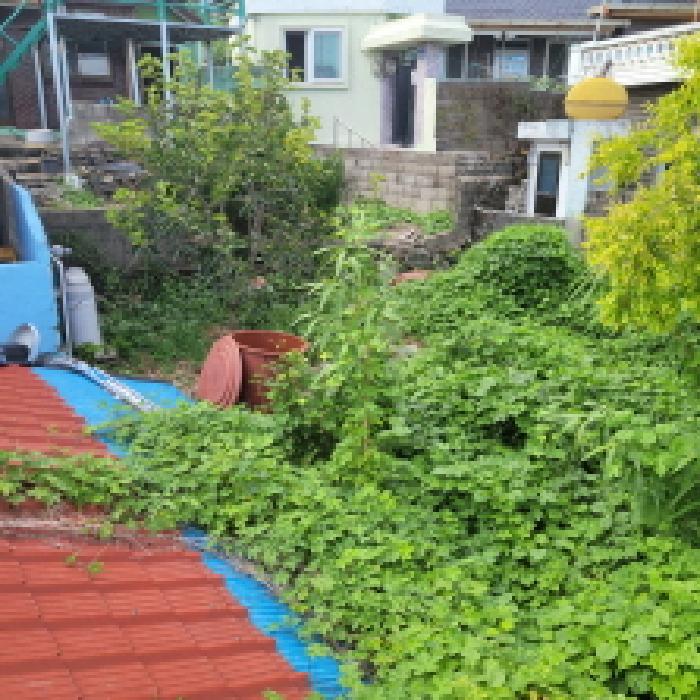 본건1항 제시외건물을 제외한 전경사진.