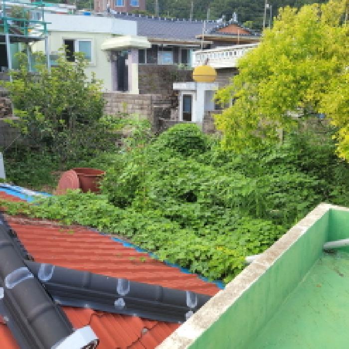 본건1항 제시외건물을 제외한 전경사진.