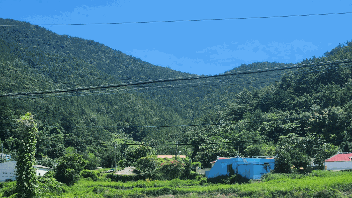 본건 원경