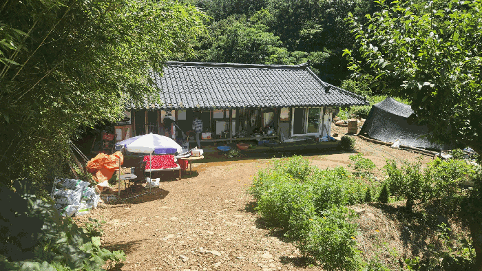 본건 기호(2)