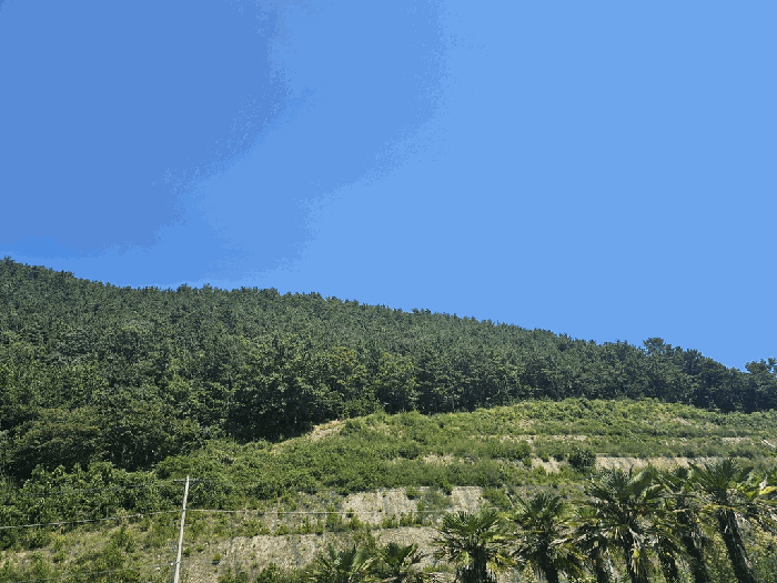 본건 전경