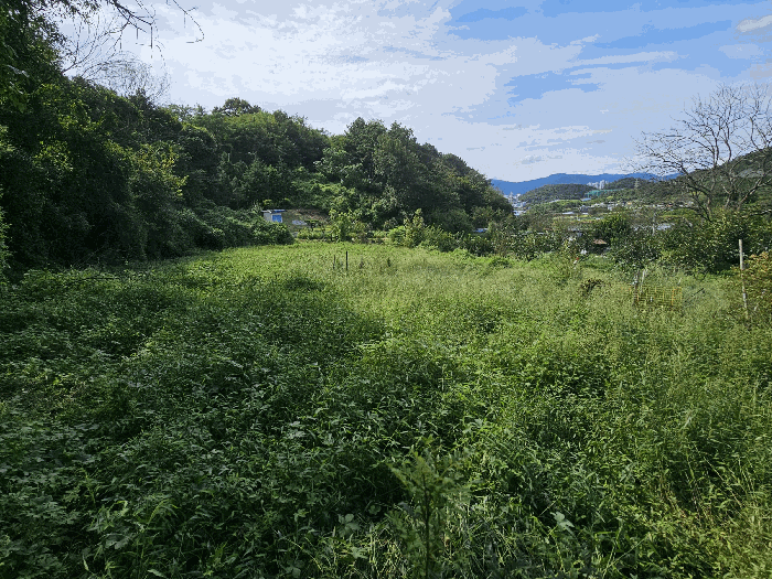 본건 전경