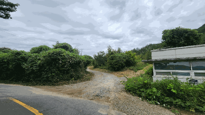 본건 기호(1)