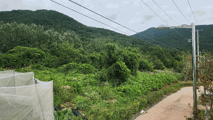 본건 기호(1)