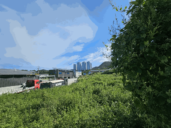 본건 전경