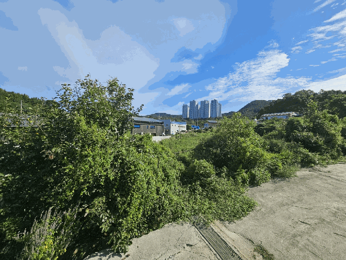본건 남측 부근