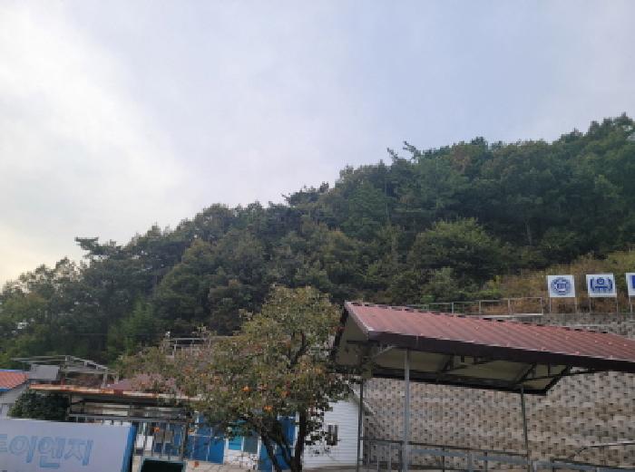 본건 1~5항 전경사진.