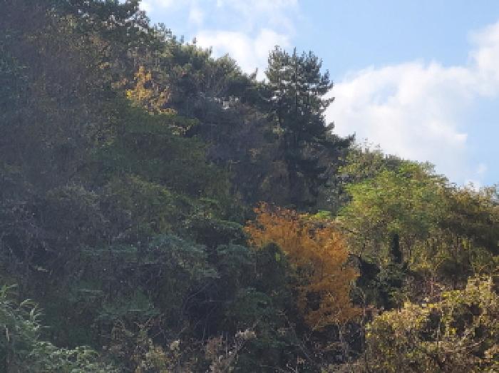 본건1항 전경사진.
