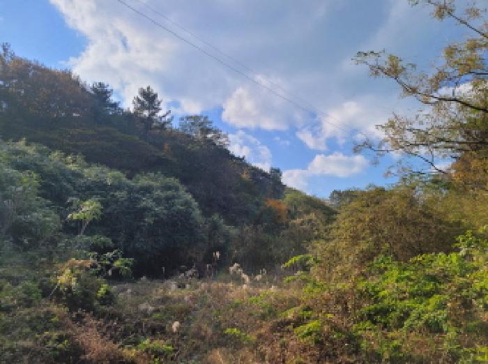 본건1항 전경사진.
