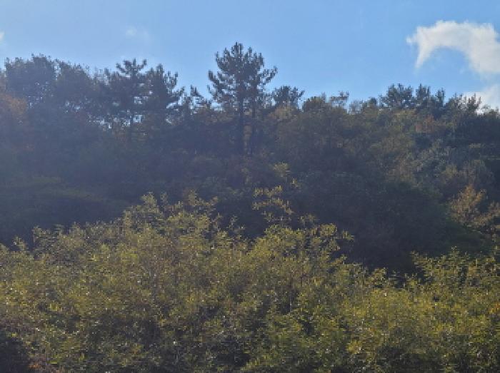 본건1항 전경사진.