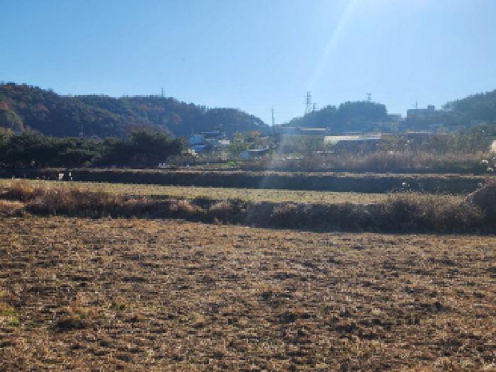 본건