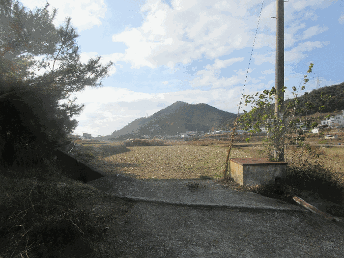 본건전경