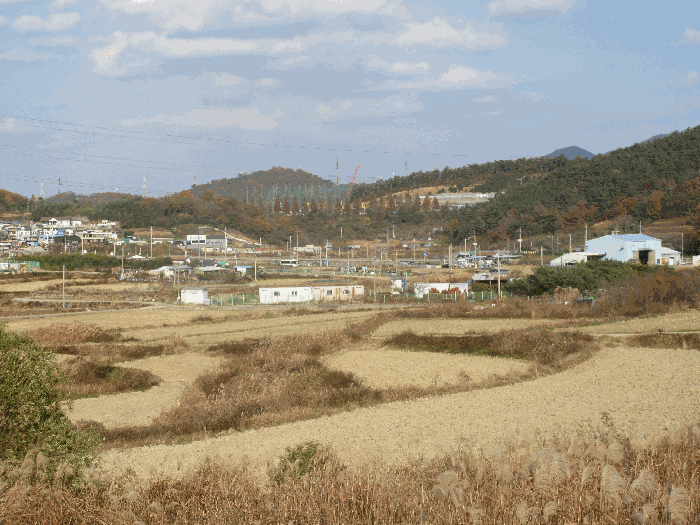 본건 및 주위