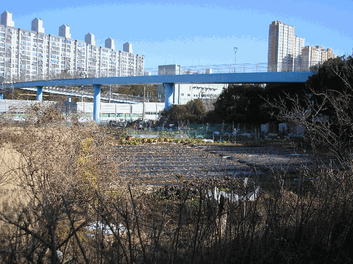 본건 기호(3)