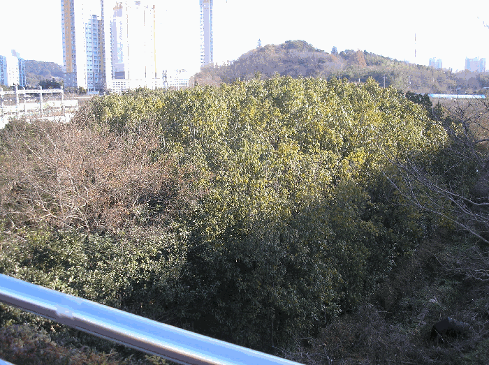 본건 기호(2) 남서측 인근 촬영