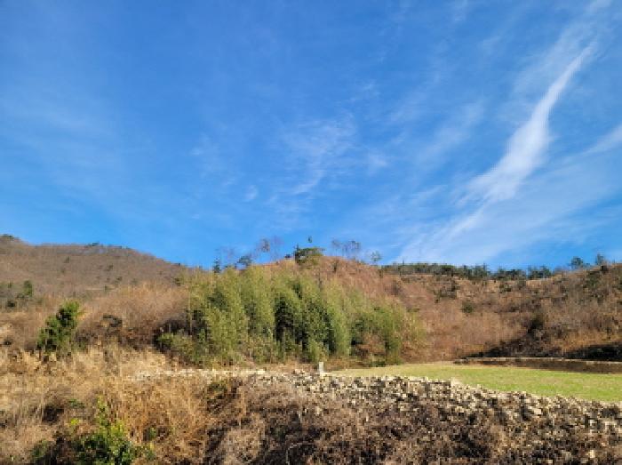 본건1항 전경사진.