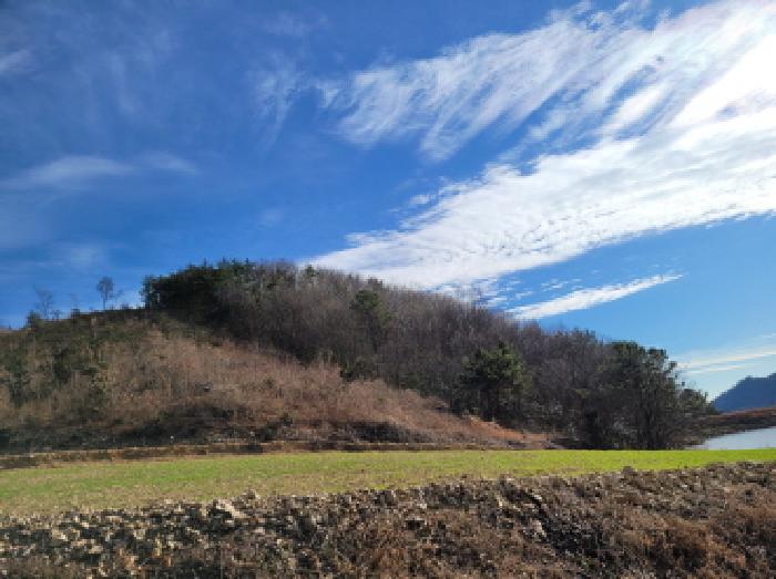 본건1항 전경사진.