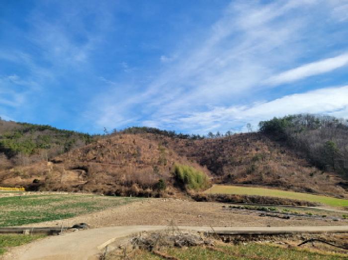 본건1항 전경사진.